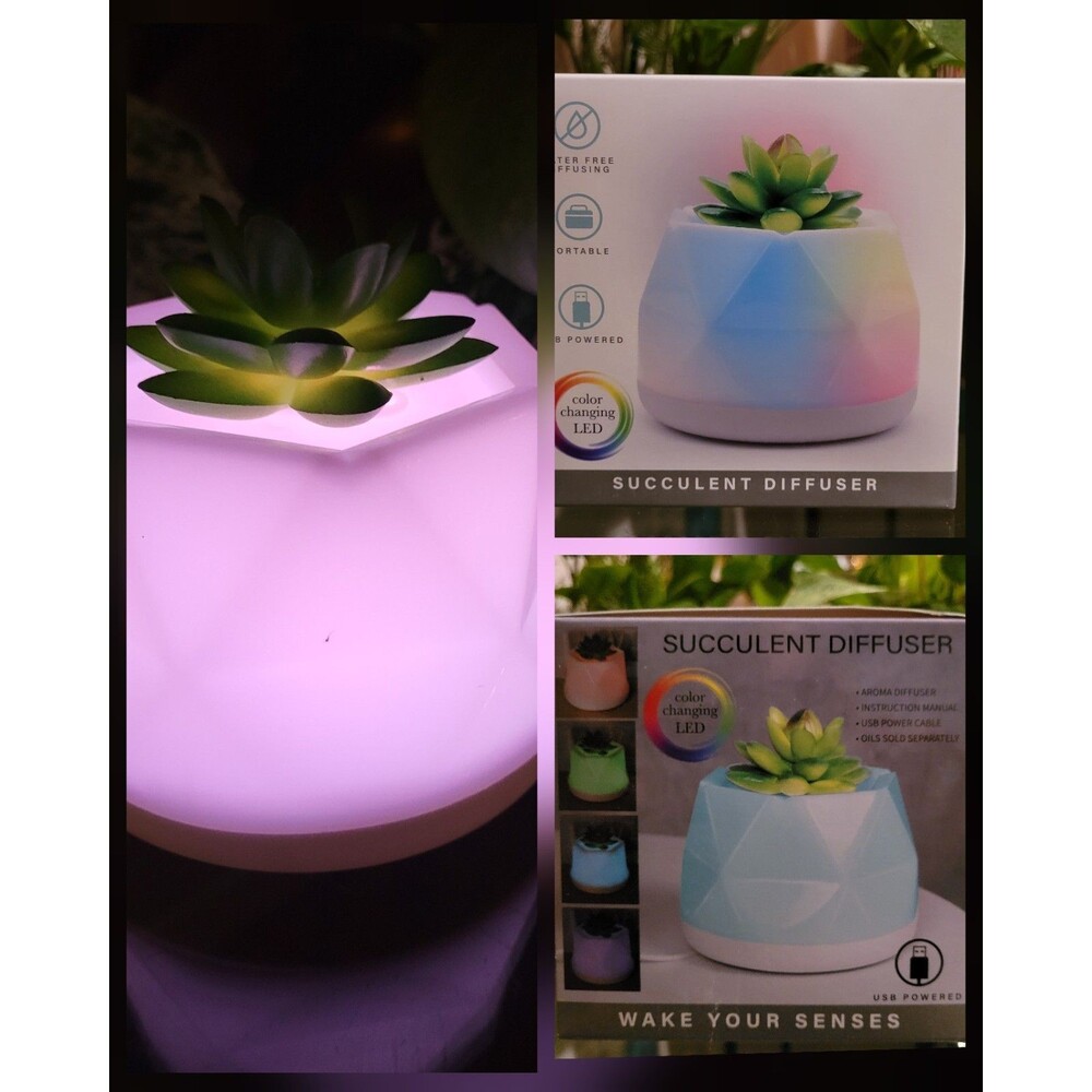 Succulent Color-Changing Night Light Lamp Waterless Essential Oil Diffuser Aroma